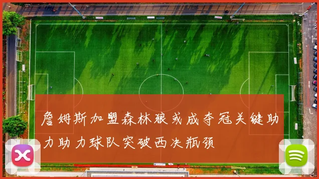 詹姆斯加盟森林狼或成夺冠关键助力助力球队突破西决瓶颈
