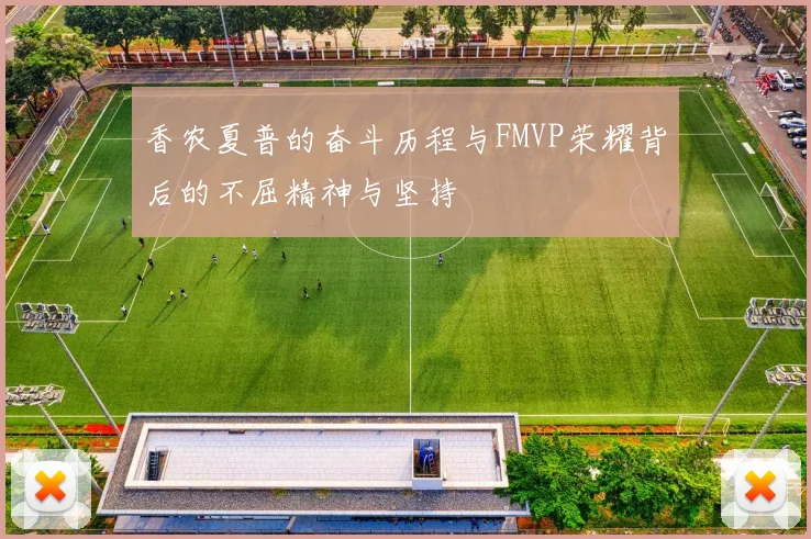 香农夏普的奋斗历程与FMVP荣耀背后的不屈精神与坚持