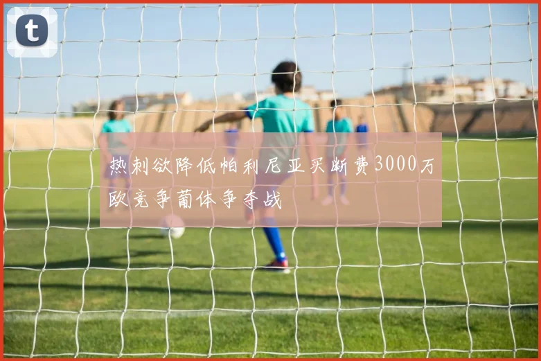 热刺欲降低帕利尼亚买断费3000万欧竞争葡体争夺战